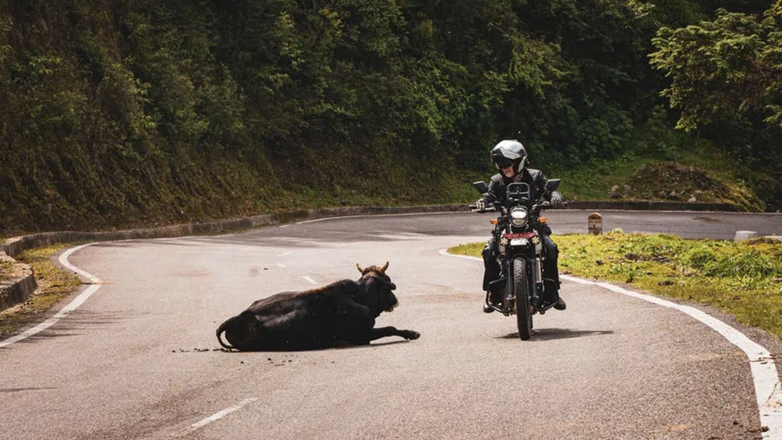 Το εγχείρημα δεν είναι πειραματικό – υιοθετείται επίσημα από τον Οργανισμό Βιομηχανικής Ανάπτυξης του ΟΗΕ (UNIDO) και χρηματοδοτείται από την ια