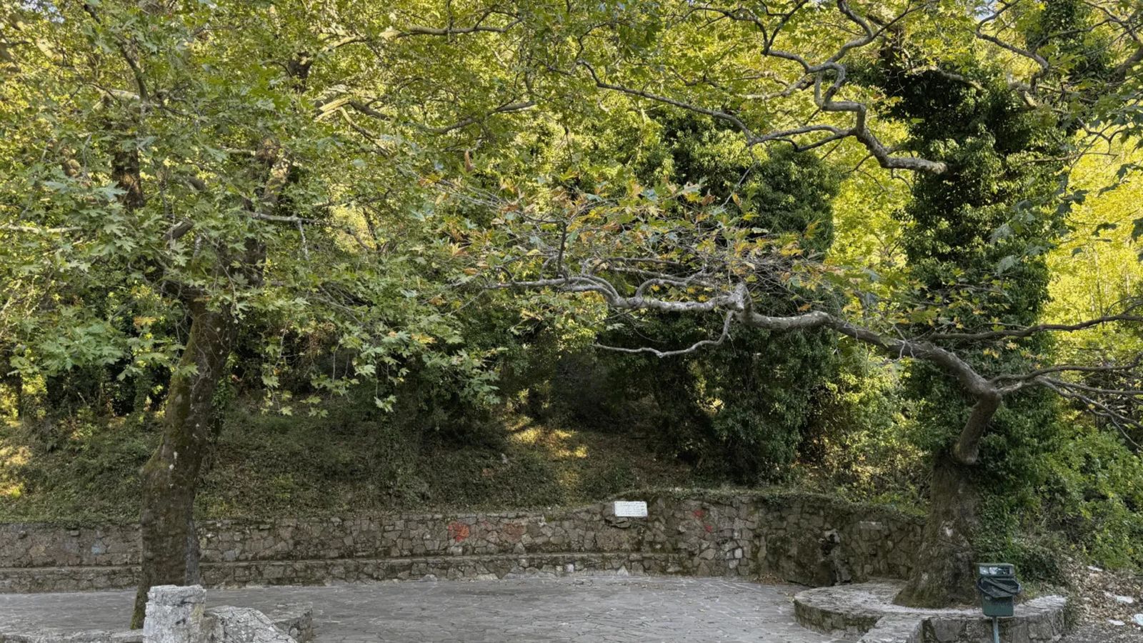 Εξόρμηση το ΣΚ: Στενή Δίρφυος 