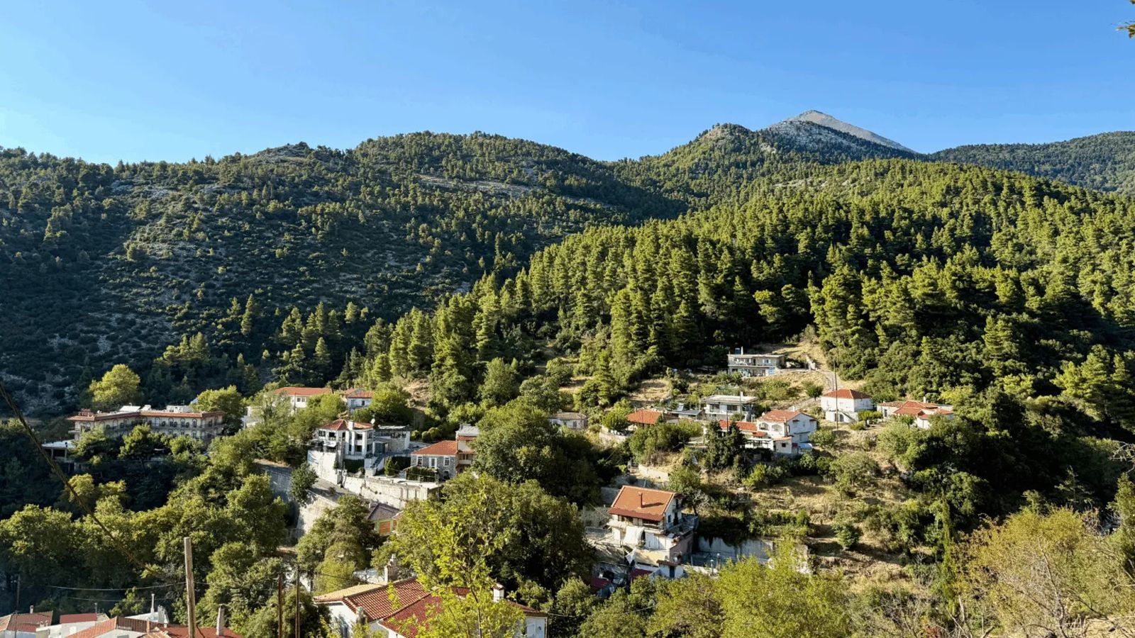 Εξόρμηση το ΣΚ: Στενή Δίρφυος 