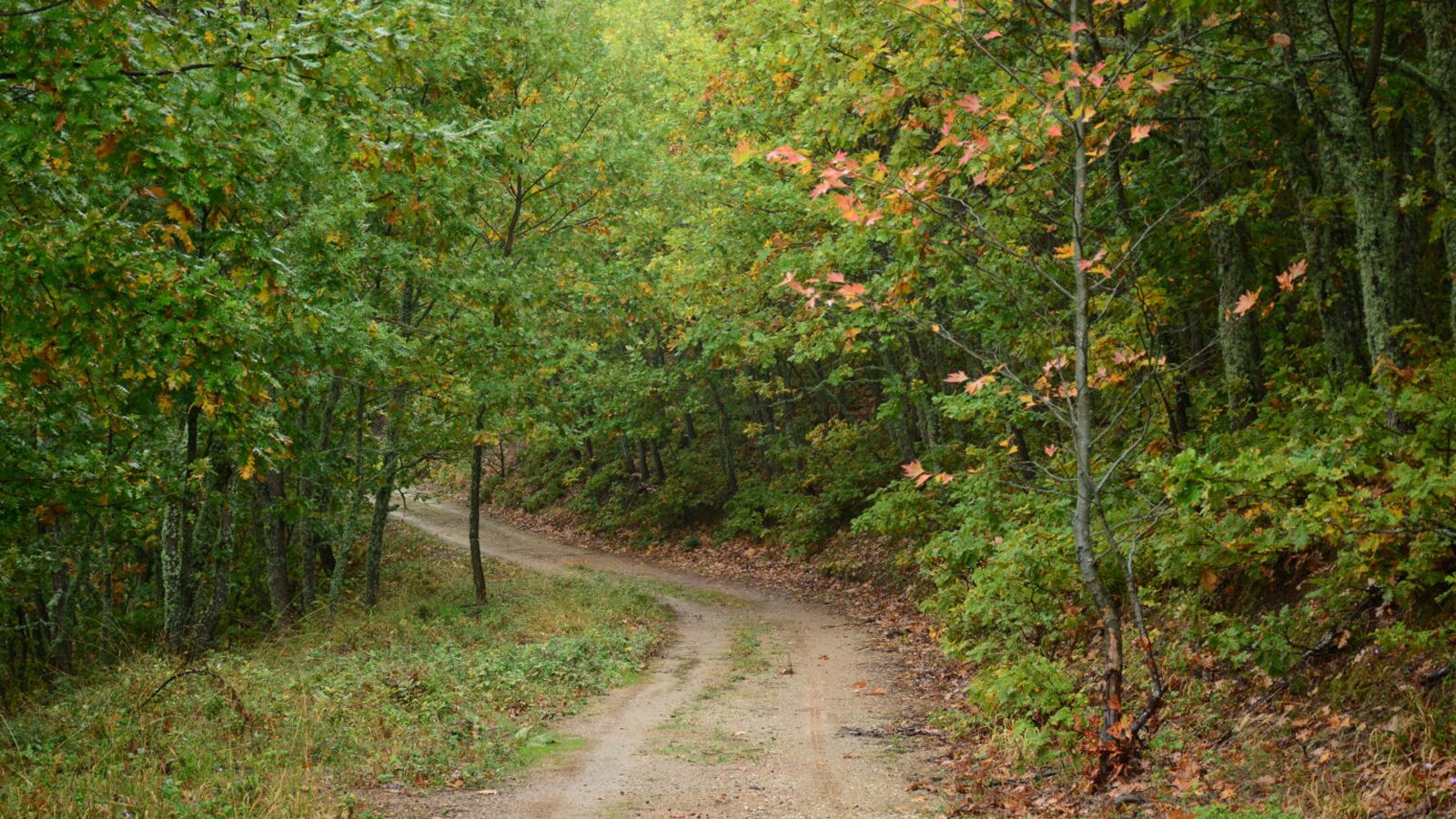 Χωμάτινες διαδρομές στο όρος Τελέθριο.