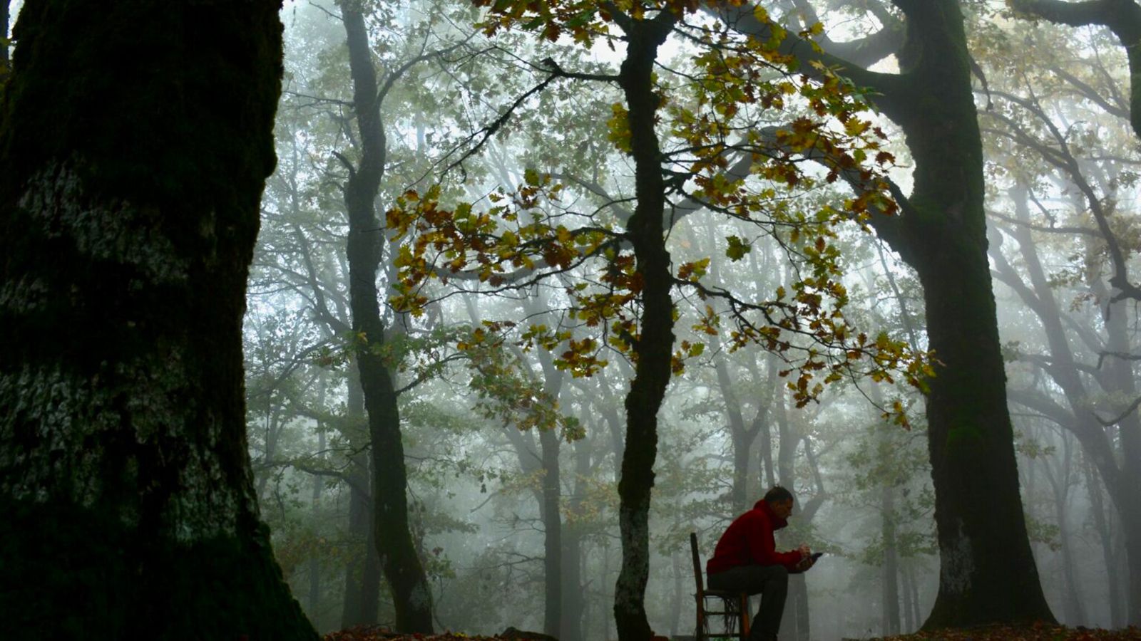 Όρος Τελέθριο.