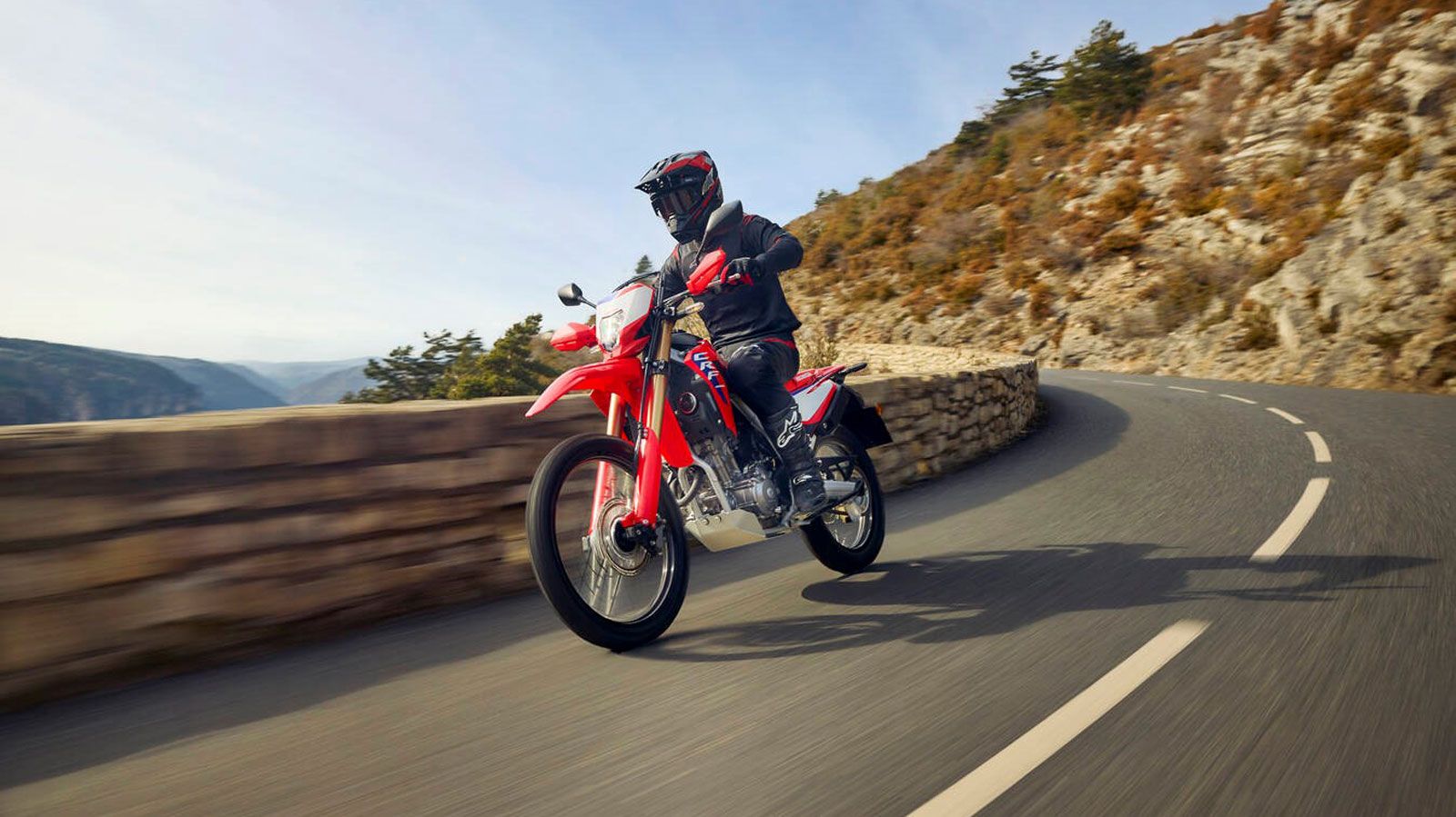 Honda CRF300L