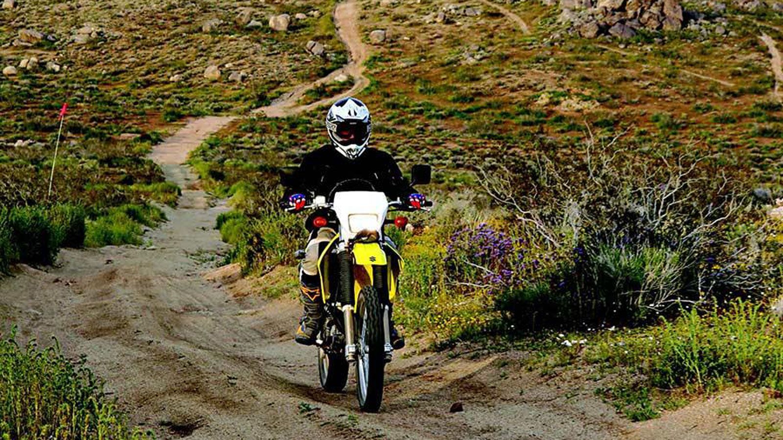 Το DR-Z400 έγινε σημείο αναφοράς και στην ελληνική αγορά