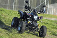 � Cougar Racing, � ����� ������� �� ������� ���������� ���� ������, ���������� �� ��� ��� ������������, � ������ ������������ ����� ������������� ����������� ATV 250 �.��., �� ����� ��� ��� ��������� �� 3.850 ����. ��������� ��� ����� �������� ��� ATV 250, �� Normal, �� Sport ��� ��� Pro.  ��� ATV Cougar Racing