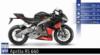 Aprilia RS 660: Racing DNA 