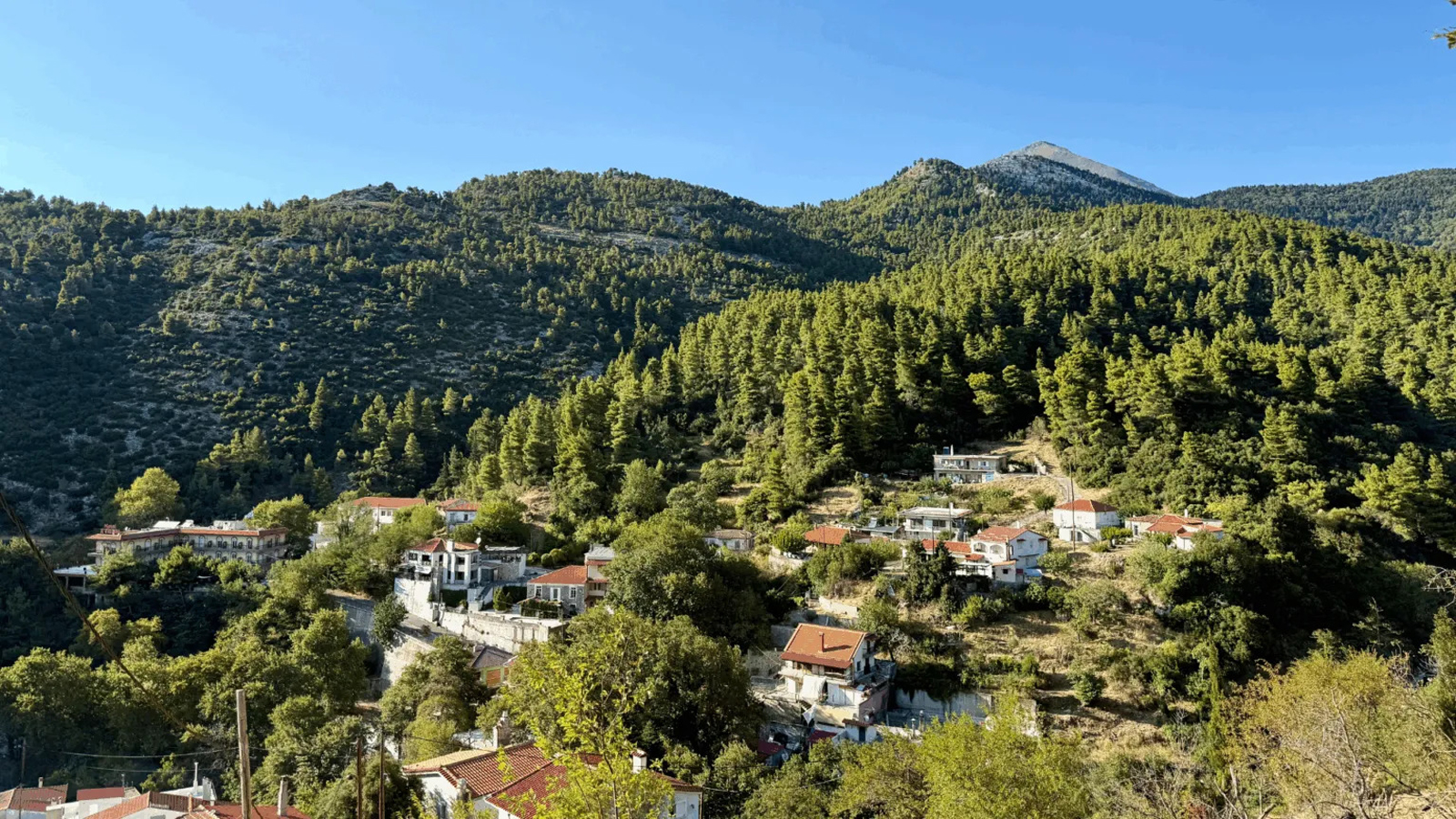 Εξόρμηση το ΣΚ: Στενή Δίρφυος  