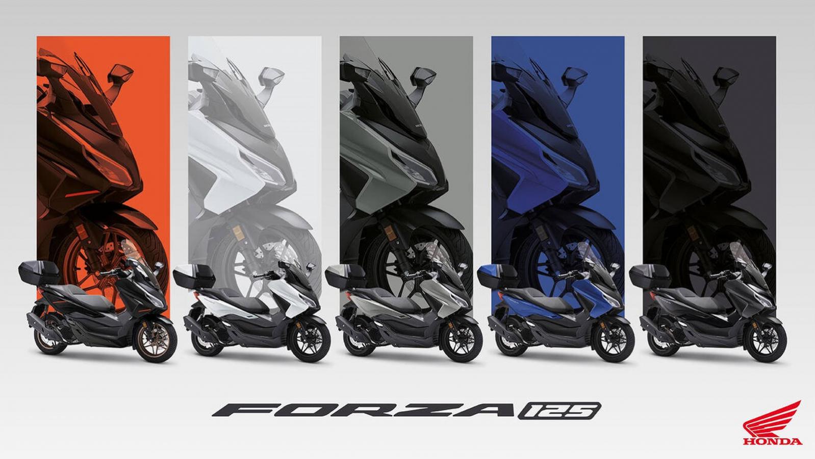 Η σχεδίασή τους, που αντλεί έμπνευση από μεγαλύτερα τουριστικά μοντέλα, συνδυάζει κομψότητα και δυναμισμό, ενώ οι νέες αποχρώσεις έρχονται να ενισχύσουν ακόμη περισσότερο την σύγχρονη εικόνα τους.