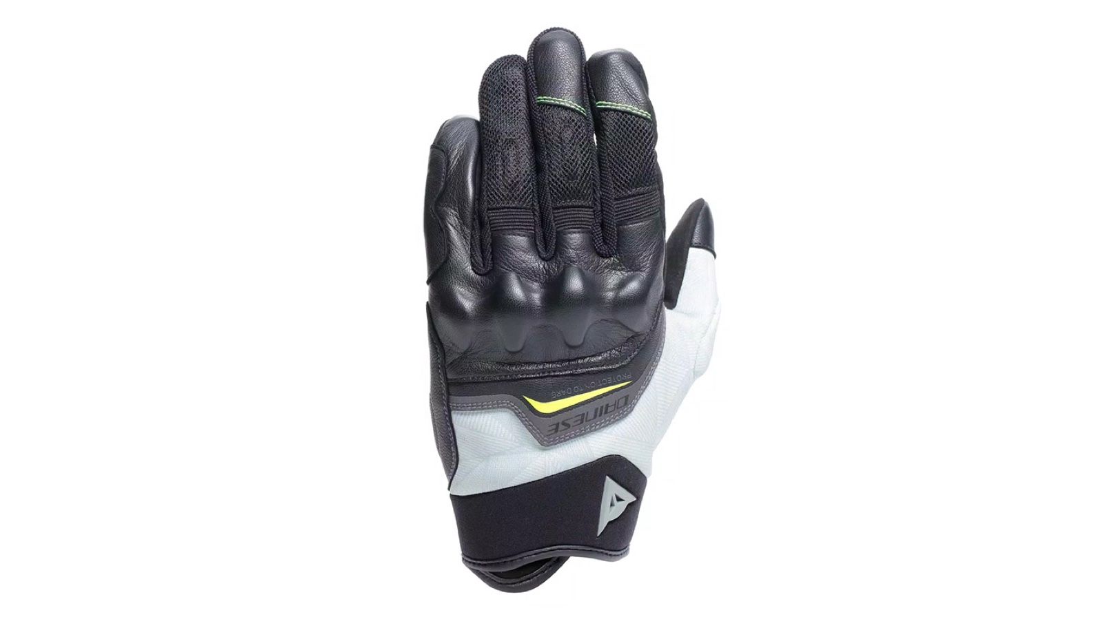 Dainese Ermex