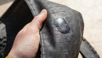 ��� ��� ���� ��� ��������� ��������� ����� ��� ����� ��� �� ��� �������� ��� �����������