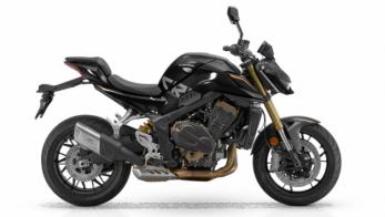  QJMotor SRK 800 Dark Edition     ,     :       