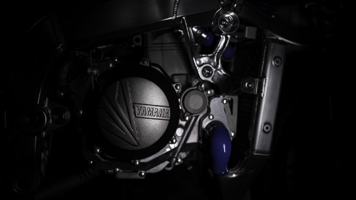 DNA DRR-022 DNA DRR-022