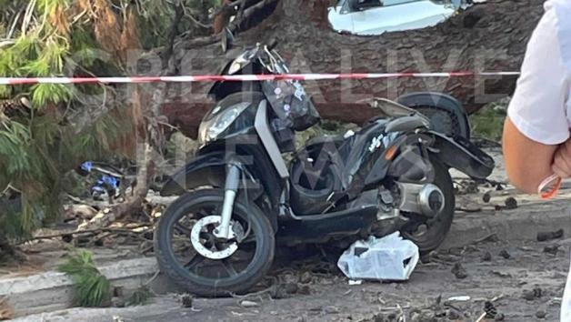 Τραγωδία στην Κρήτη: Νεκρός αναβάτης από πτώση δέντρου 