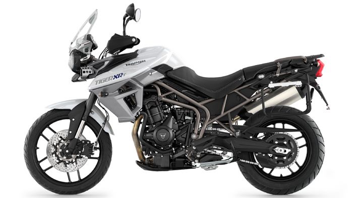 triumph xrt 800