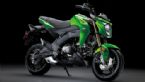 Kawasaki Z 125