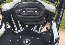                   Chuck Norris.        ,   :   William S. Harley    Davidson      Sportster,  Chuck Norris      .  o    Forty Eight.
