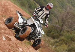   entry level,        ATV,      .   ,         ATV      .  Dinli, ,           Thunder 300,          .
