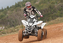   entry level,        ATV,      .   ,         ATV      .  Dinli, ,           Thunder 300,          .
