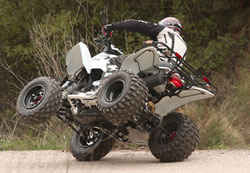   entry level,        ATV,      .   ,         ATV      .  Dinli, ,           Thunder 300,          .
