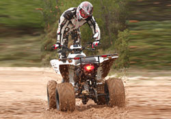   entry level,        ATV,      .   ,         ATV      .  Dinli, ,           Thunder 300,          .
