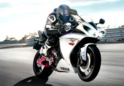 ���� ���� �� ������ ��� ����� �������� �� ������� ���� 