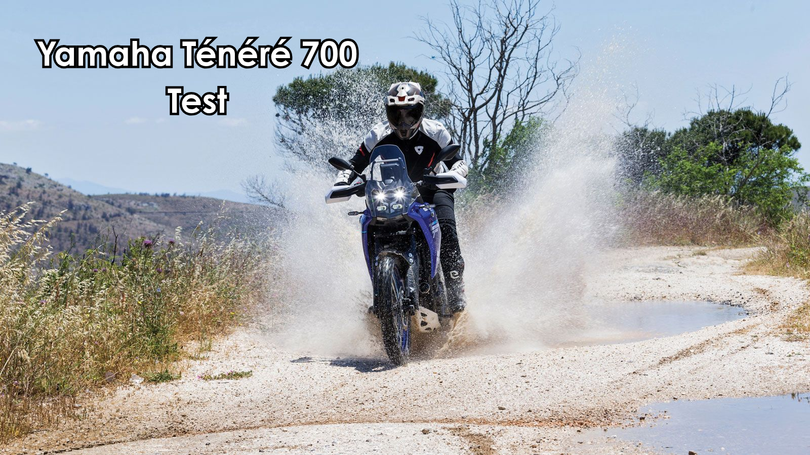 TEST
