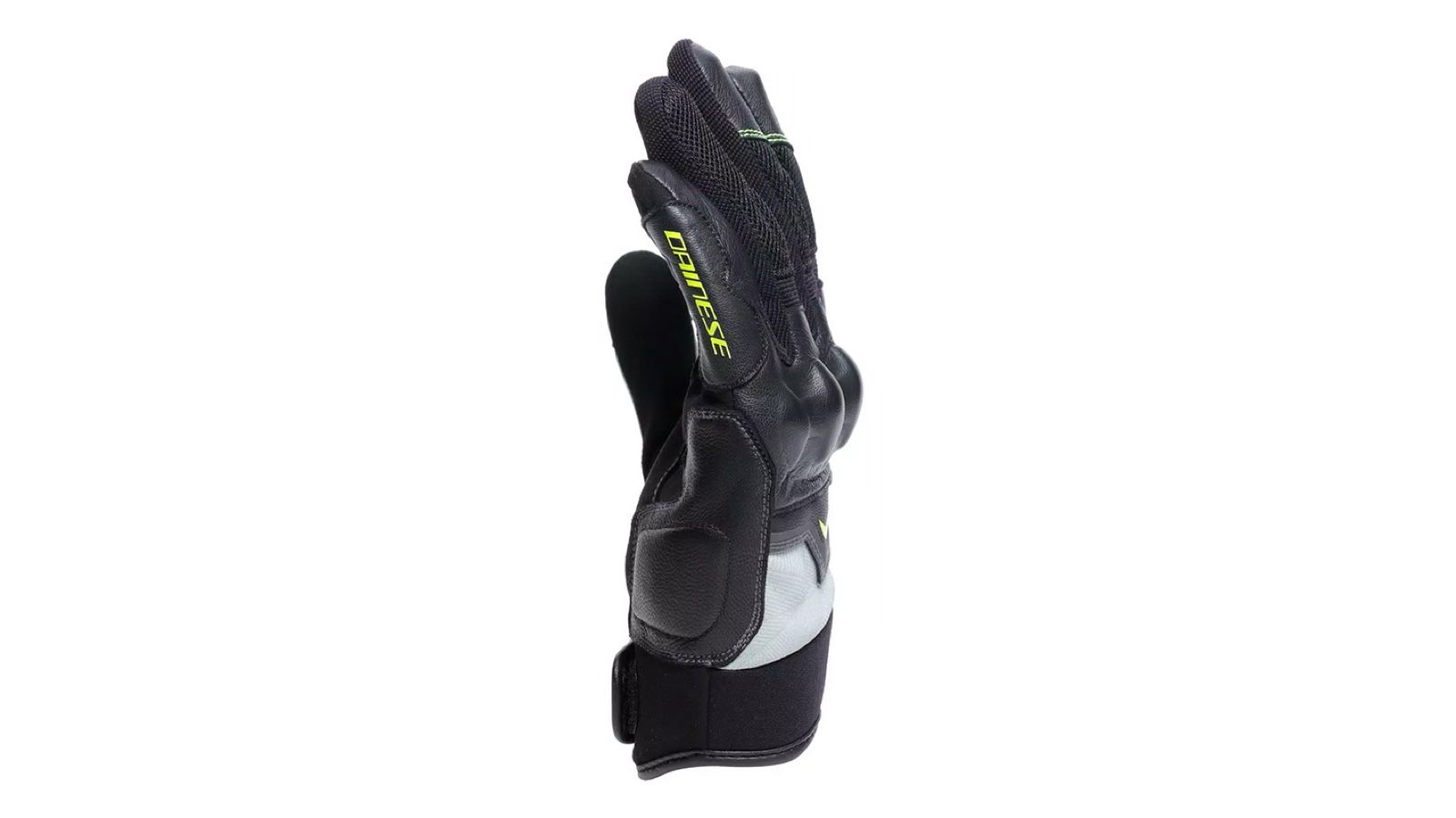 Dainese Ermex