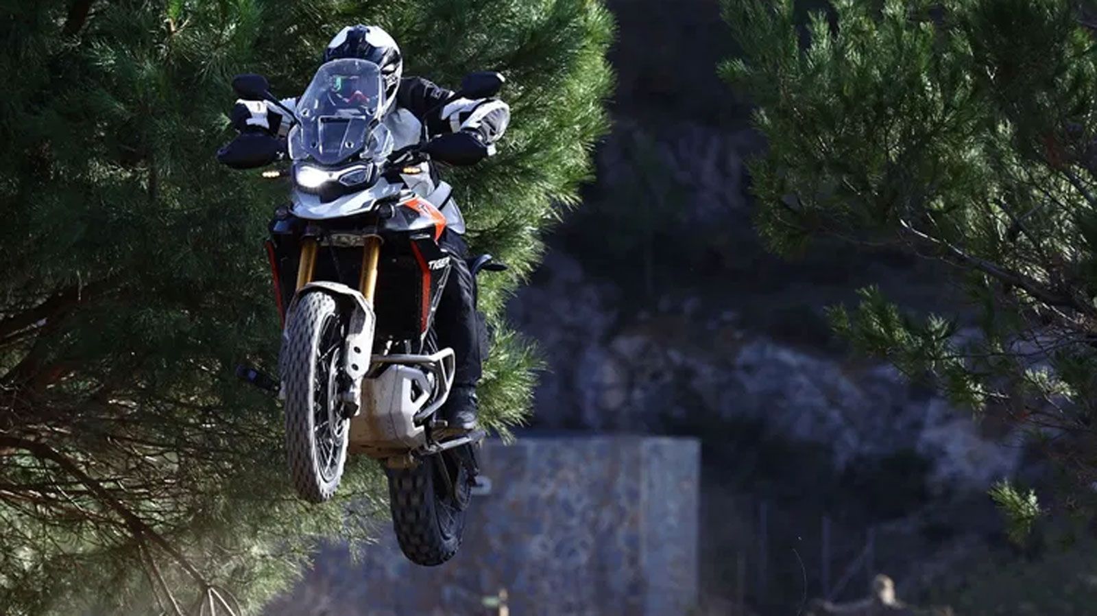 Η επιλογή της Triumph να επαναφέρει τις Alpine και Desert εκδόσεις, αυτή τη φορά στη μεσαία κατηγορία adventure, συνδέεται με την προσπάθειά της να προσφέρει συλλεκτικές, θεματικές εκδόσεις που ενισχύ