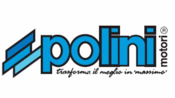 POLINI:     !