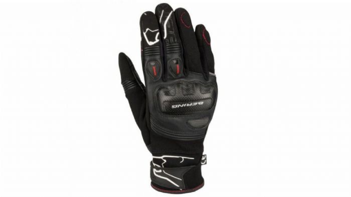 Bering Summer Cortex