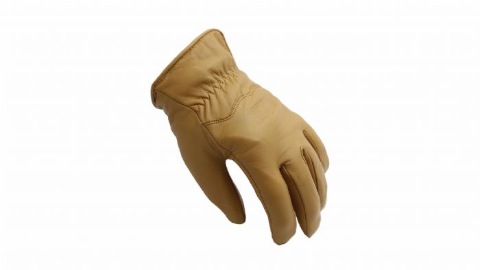 AgvPro Rast AgvPro Rast