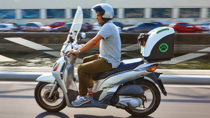 Βαλίτσα μεταφοράς κατοικίδιου