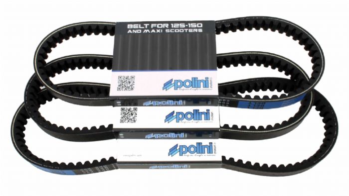 Ιµάντες Polini