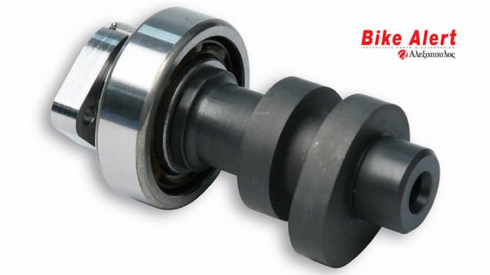 Εκκεντροφόρος Malossi για Honda Forza 300