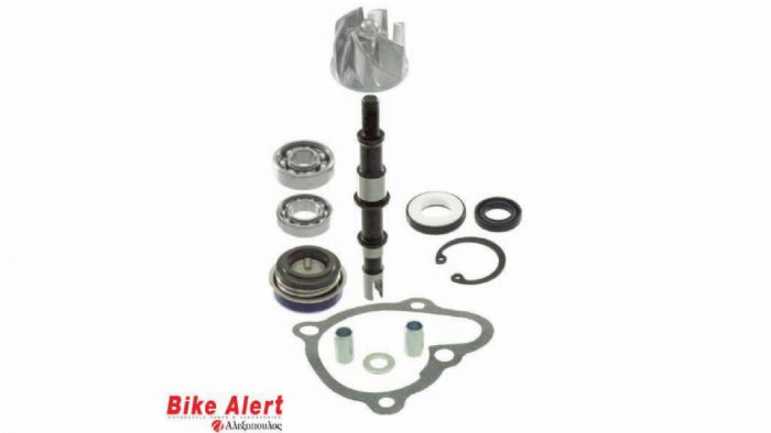 Κιτ επισκευής τρόμπας νερού RMS