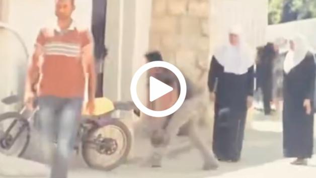 VIDEO: Το κράνος με τη μεγαλύτερη αντοχή!!
