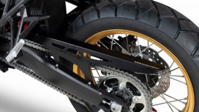 Προστατευτικά αλυσίδας Barracuda: Εμφάνιση και ουσία