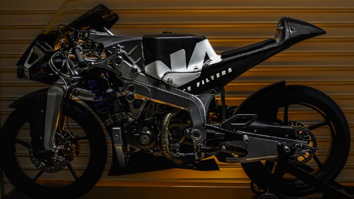 DNA DRR-022 DNA DRR-022