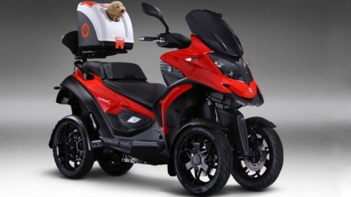 Τα κατοικίδια μπορούν να είναι ασφαλή στο Twist. Τα κατοικίδια μπορούν να είναι ασφαλή στο Twist.