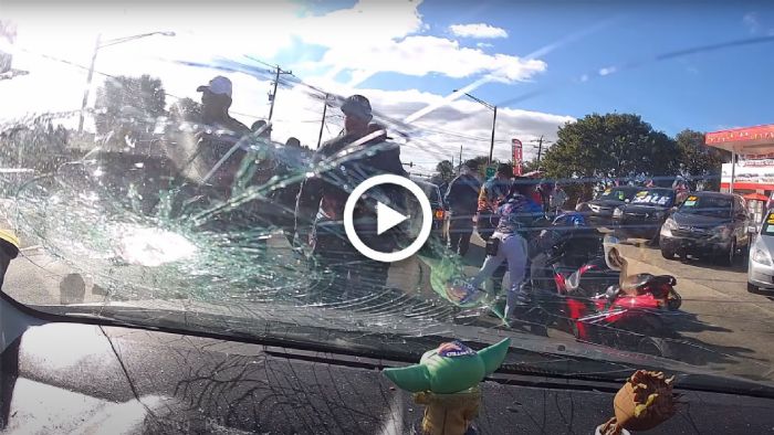 VIDEO: Από την παρατήρηση στο άγριο ξύλο VIDEO: Από την παρατήρηση στο άγριο ξύλο