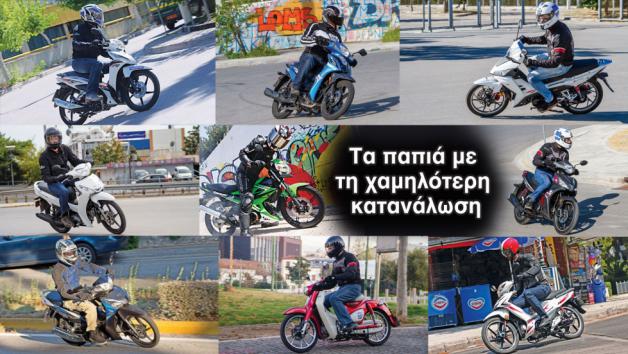 Τα παπιά με τη χαμηλότερη κατανάλωση 