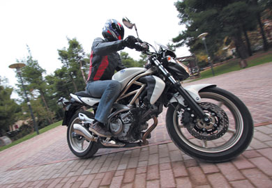 Suzuki Gladius 650 Suzuki Gladius 650