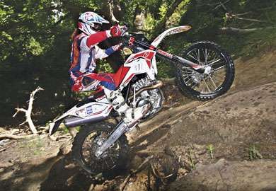 Beta RR 450 Beta RR 450