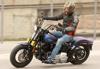 Harley Davidson Cross Bones Harley Davidson Cross Bones