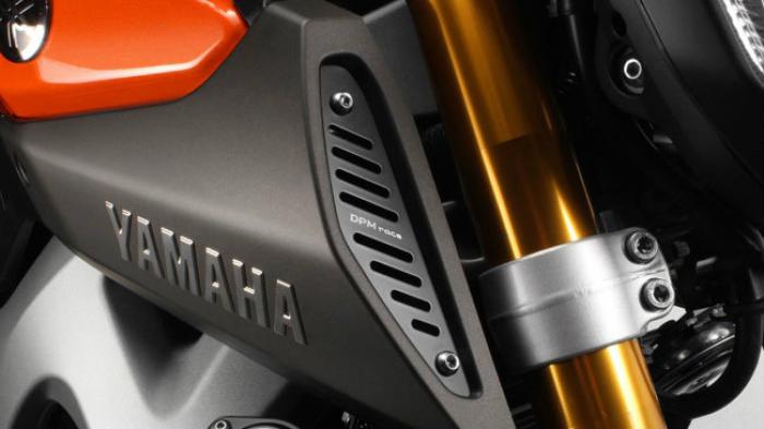Σχάρες αεραγωγών De Pretto Moto για Yamaha MT-09